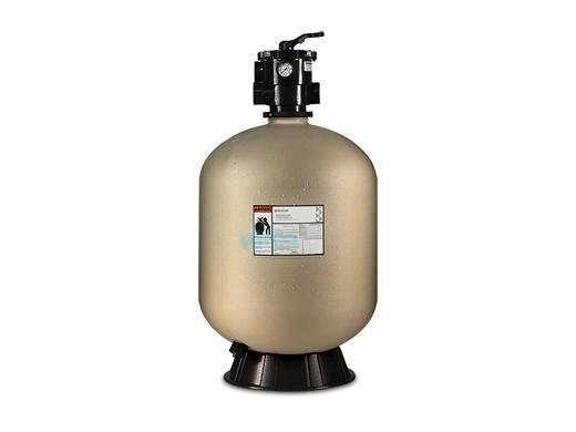 Pentair Sand Dollar SD60 Top Mount Sand Filter image 0