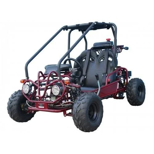 Taotao GK110 Kids Gas Go Kart Dune Buggys. image 1