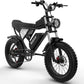 Ridstar Electric Bike for Adults 1500w 33mph,48v 20ah Electrics Bicycle,20″ Fat Tire,7-Speed Mountain Bikes Ul2849 image 0