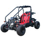 Taotao GK110 Kids Gas Go Kart Dune Buggys. image 4