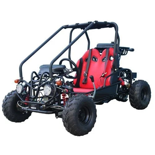 Taotao GK110 Kids Gas Go Kart Dune Buggys. image 0