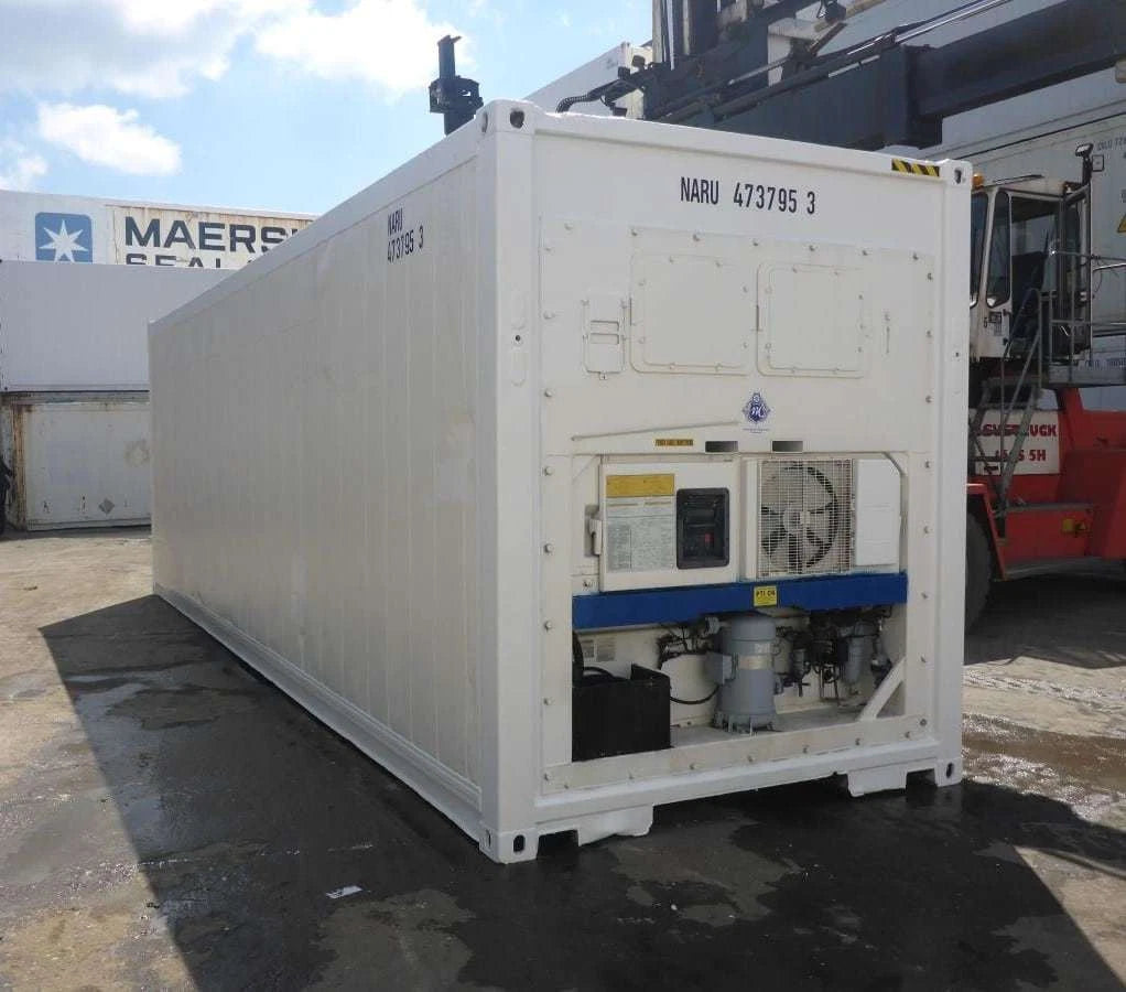 30 Feet Freezer Container Customized Mobile Cold Storage Cell Container / Reefer image 1