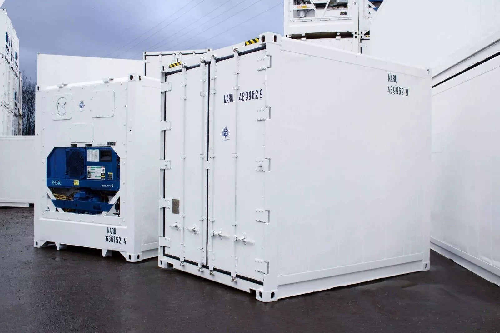 10 Feet Freezer Container Compact Mobile Cold Storage Cell Reefer Container image 0