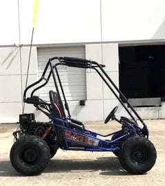 Trailmaster Mini XRX+ 2- Seater GO-KART EAGLE SERIES 163cc Blues. image 1