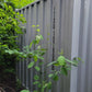 20Ft Steel Shipping Container/Storage Container image 2