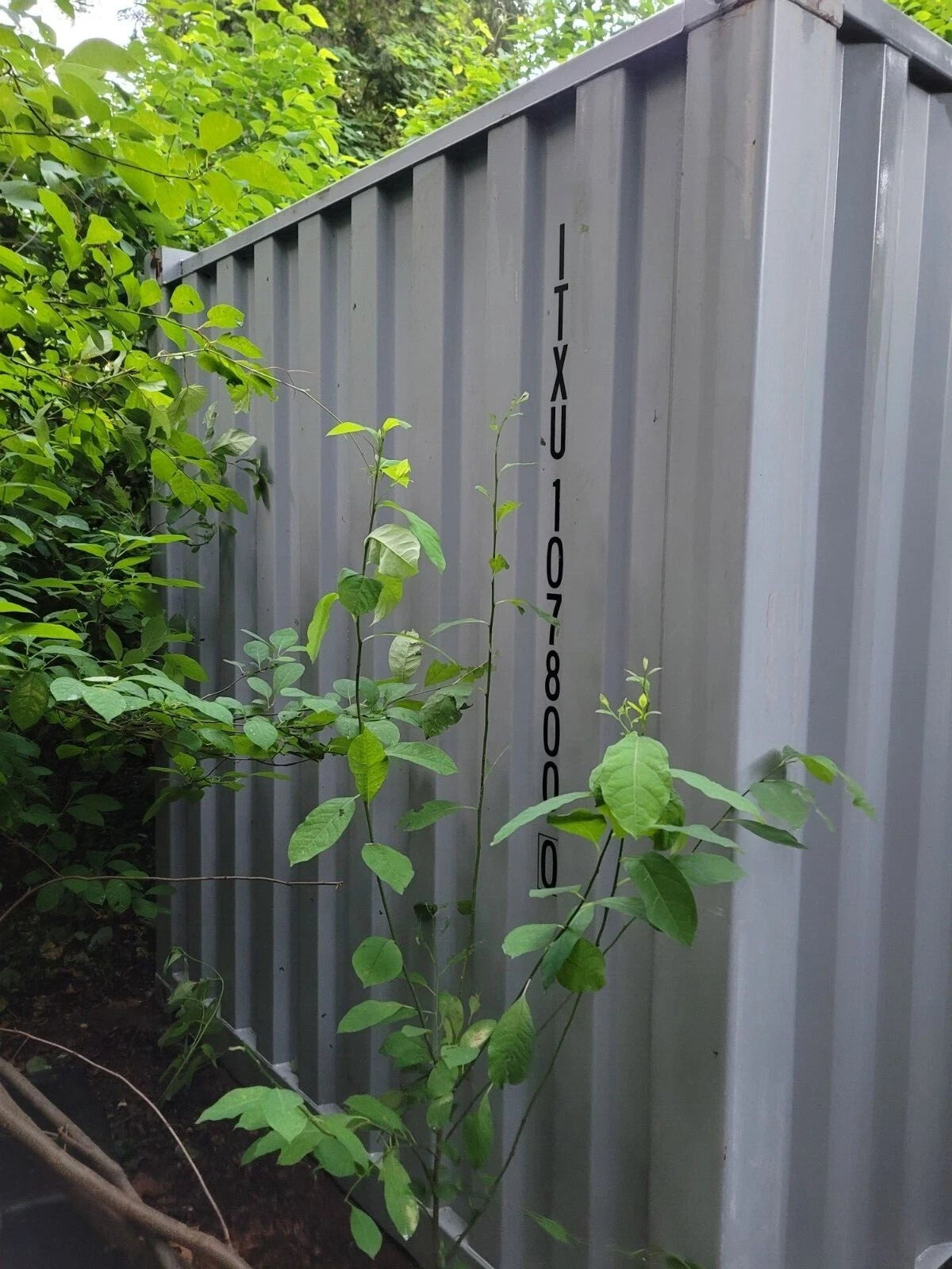 20Ft Steel Shipping Container/Storage Container image 2