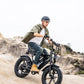 Amyet G60 Peak Electric Bikes. image 5