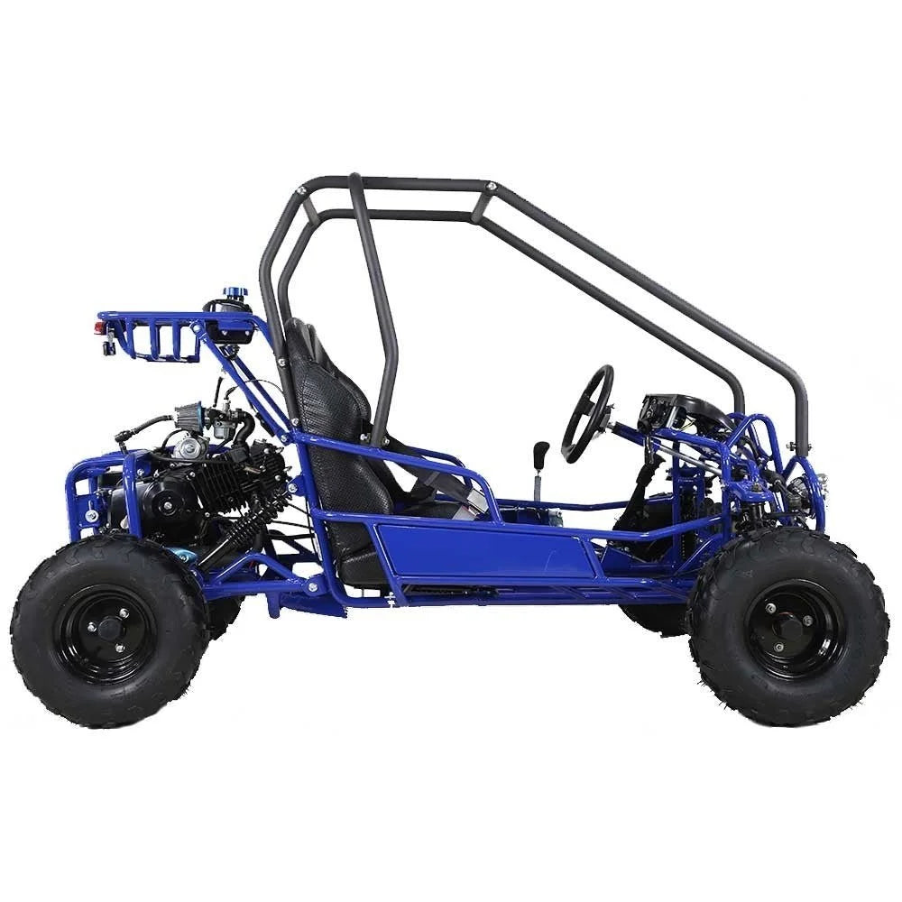 Taotao GK110 Kids Gas Go Kart Dune Buggys. image 2