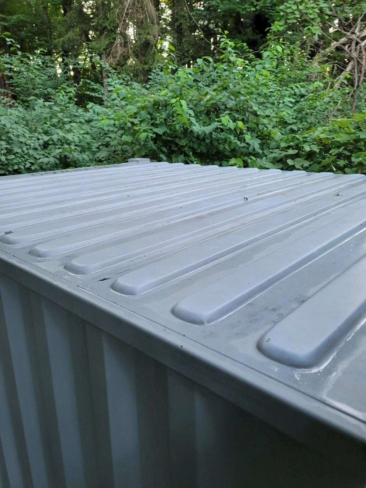 20Ft Steel Shipping Container/Storage Container image 5