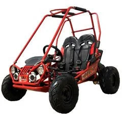 Trailmaster Mini XRX+ 2- Seater GO-KART EAGLE SERIES 163cc Blues. image 0