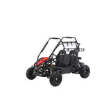 Coleman Powersports GK200 196cc Gas Powered Dual Seat Go-Karts. image 0