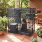 Kitty City Outdoor Catio Furniture and Play Kits for Cats, Outdoor Mega Kit image 4